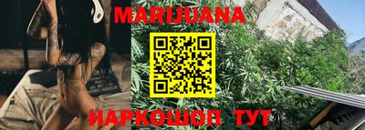 индика Пенза