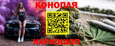 индика Пенза