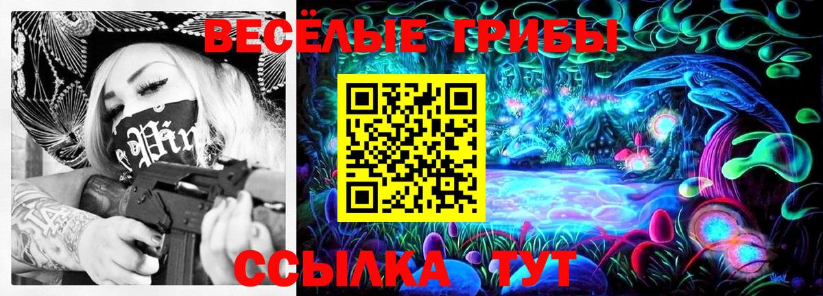 Галлюциногенные грибы GOLDEN TEACHER  Вход с VPN  Шебекино  Галлюциногенные грибы Psilocybine cubensis 
