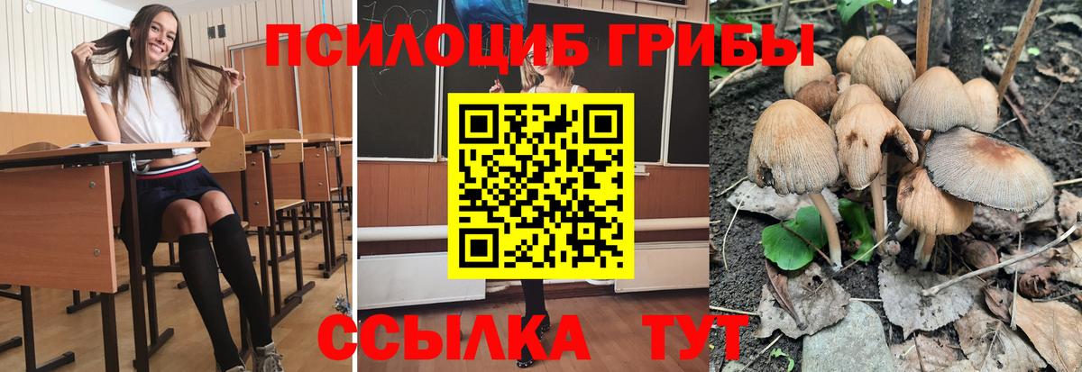 Псилоцибиновые грибы прущие грибы Шебекино